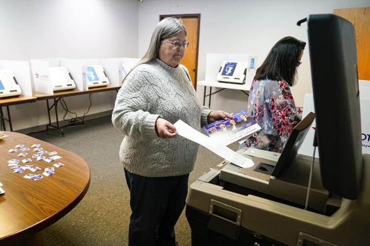 Voter at Indiana primary