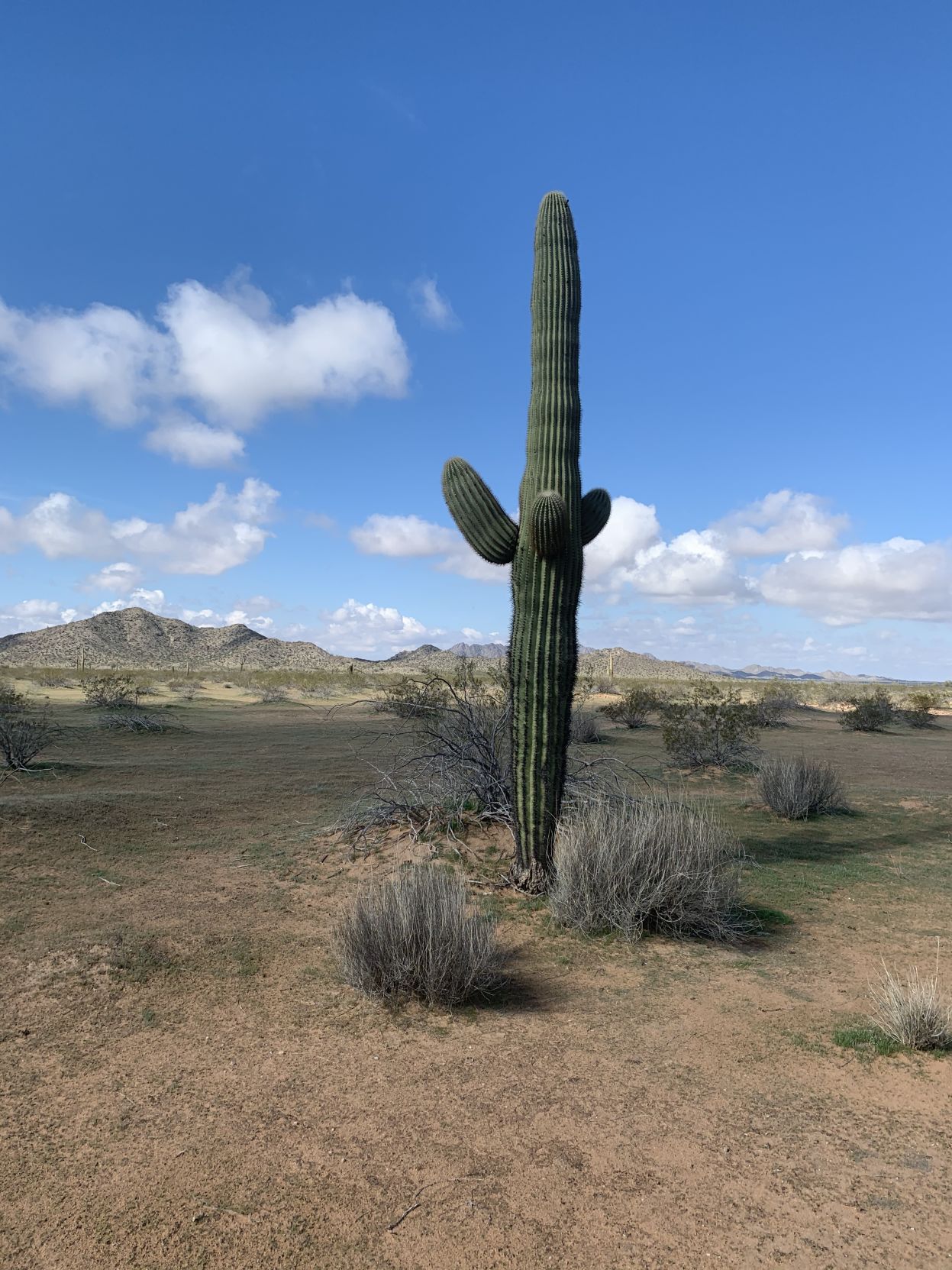 ARIZONA BORDER WALL - PART 1 (36).JPG