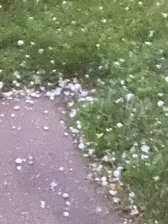 Hail on the ground off Rockford Lane