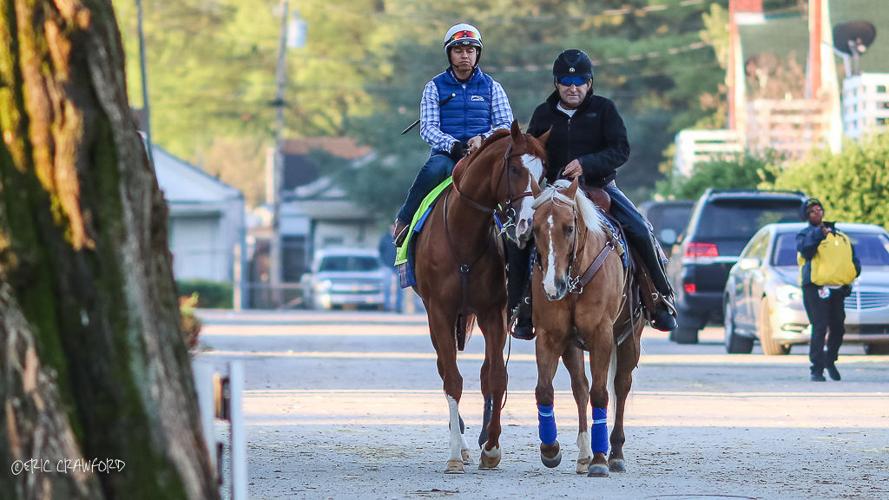 Training - Imporbable