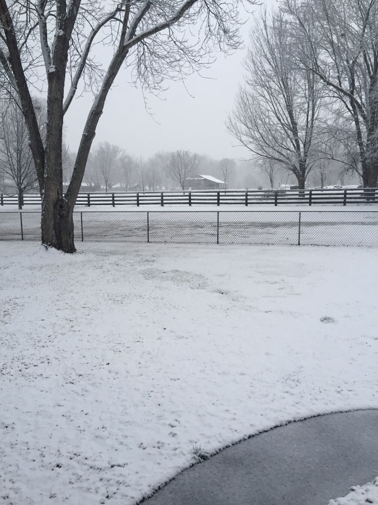 Snow in Fairdale-KY-1-27-21.jpg