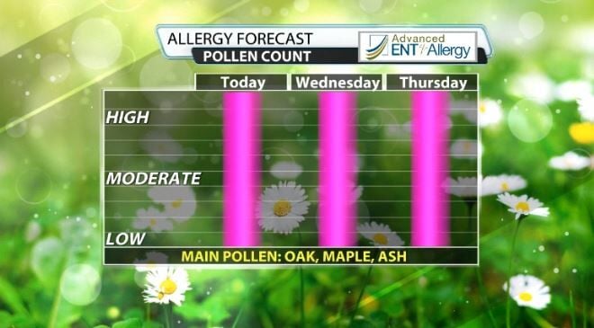 pollen r.JPG