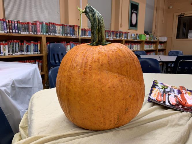 Jack O Lantern Stroll - Uncarved Pumpkin.jpeg