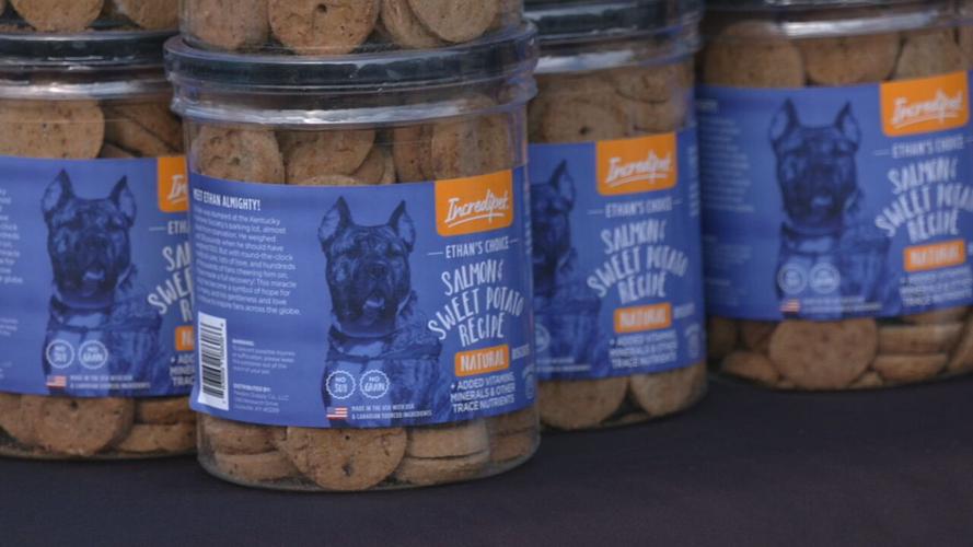 ethan the dog biscuits.jpeg