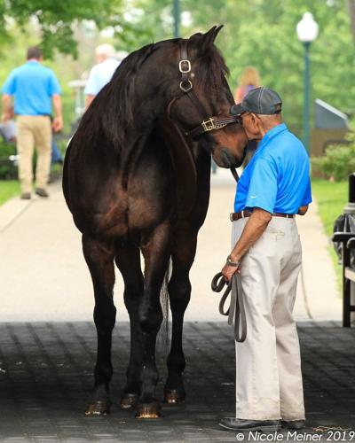 EUGENE CARTER - COURTESY KENTUCKY HORSE PARK  (5).jpg