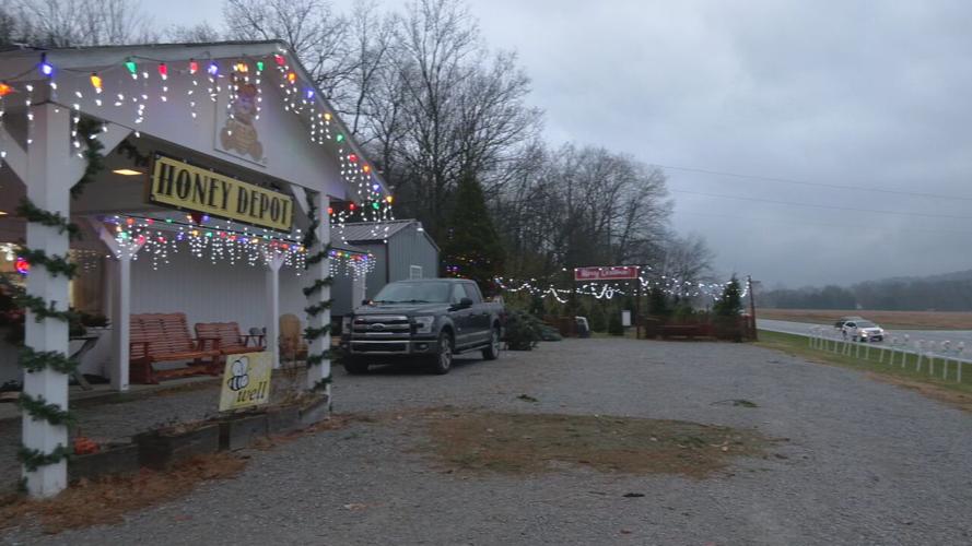 HoneyBear Farms Christmas Tree Lot 11-25-21
