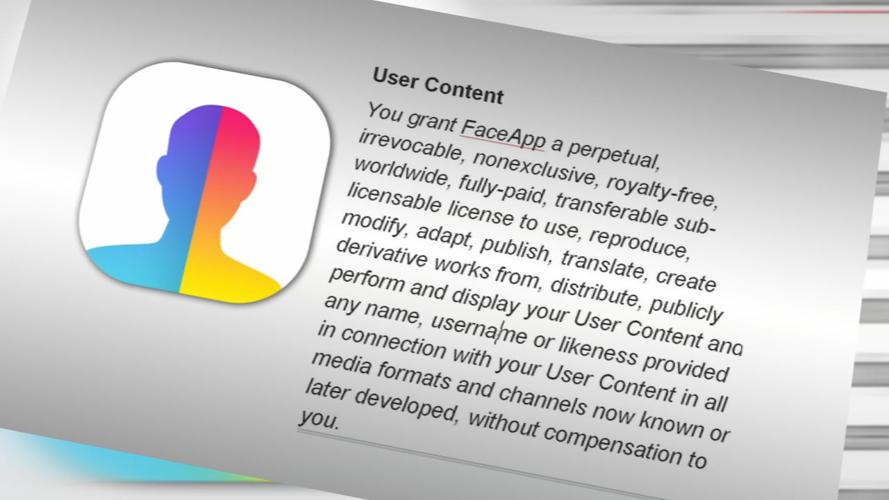 Faceapp terms of service