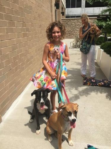 Louisville girl brings community together with dog beds