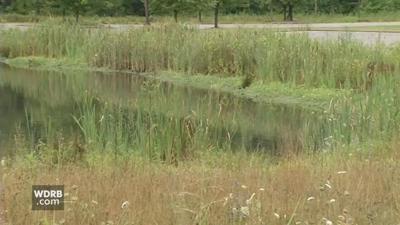 LMPD investigating after human remains found in Valley Station