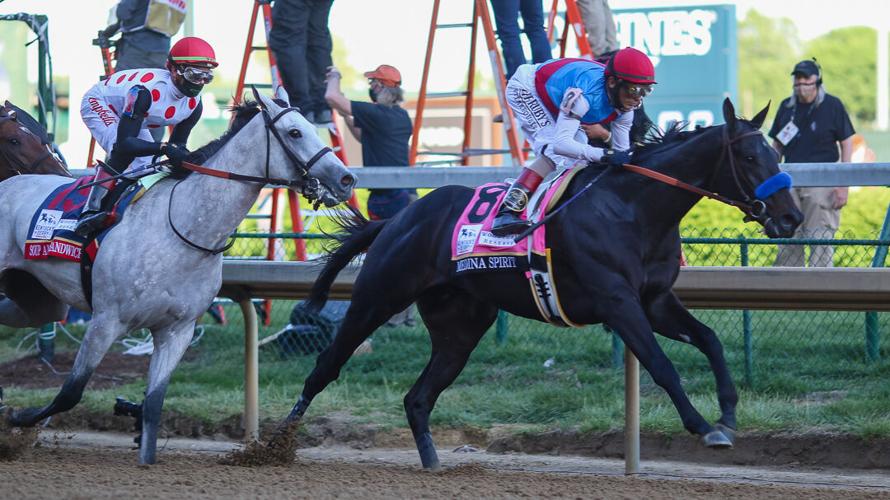 Medina Spirit-7-2.jpg