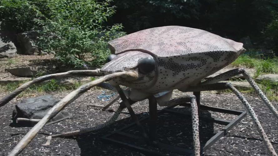 IncrediBUGS exhibit at the Louisville Zoo