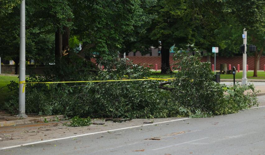 Tree down in Louisville 7th Street