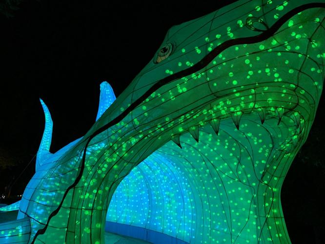 ASIAN LANTERN FESTIVAL - LOUISVILLE ZOO - KEITH KAISER - 7-15-2020  (5).JPG