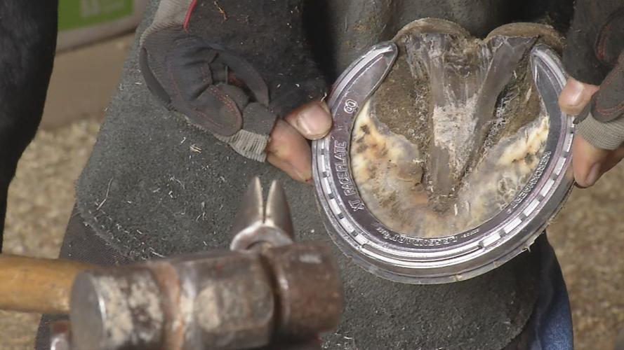 Equine blacksmith, dentist explains task of caring for a derby horse