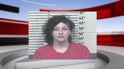 Kellie Boggs mugshot.jpg