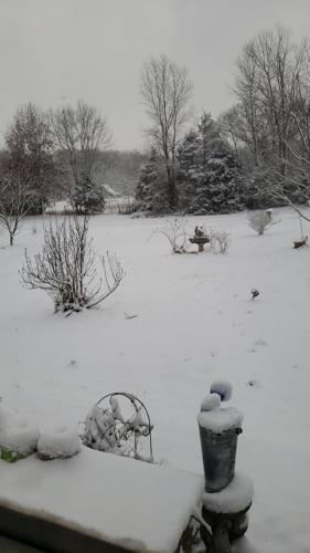 Snow in Hardinsburg-IN-1-27-21.jpg