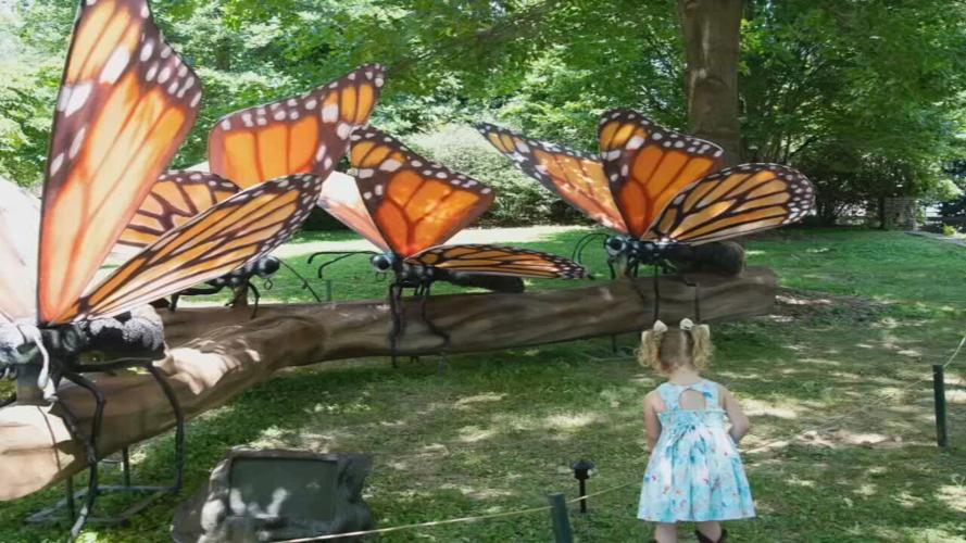 IncrediBUGS exhibit at the Louisville Zoo