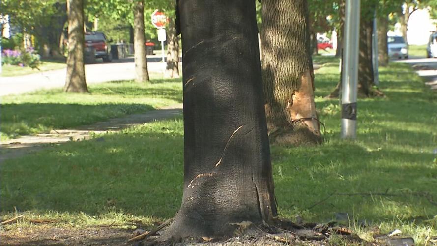 Eastern Parkway Fatal Crash scene