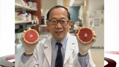 Dr. Huang-Ge Zhang.jpeg