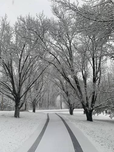 Snow 1-27-21 (3).jpg