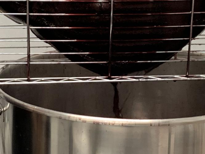 ELDERBERRY CO. - KEITH KAISER - 3-20-2020  (13).jpeg