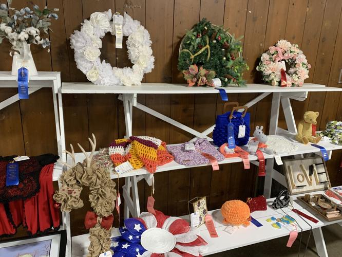 Shelby County Fair (15).JPG