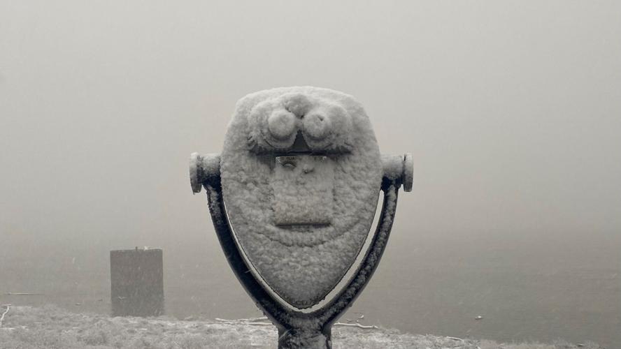 Louisville snow-Ashland Park-1-27-21 (2).jpg