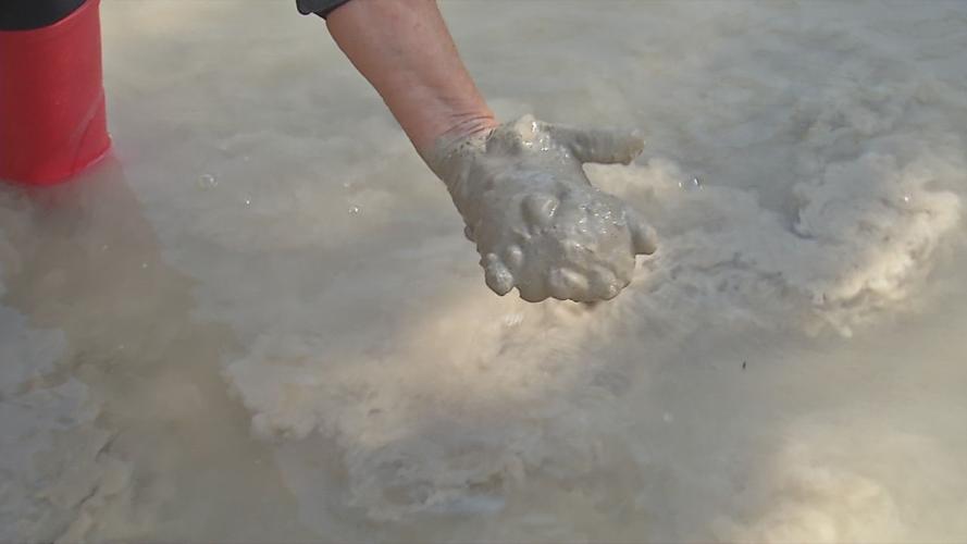 Thick grey sludge found in Bullitt County's Blue Lick Creek