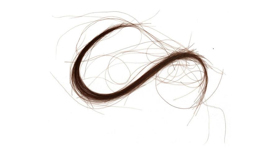 Lock of Triple Crown winner Secretariat's hair up for auction at the 2023 Lelands Summer Classic Auction