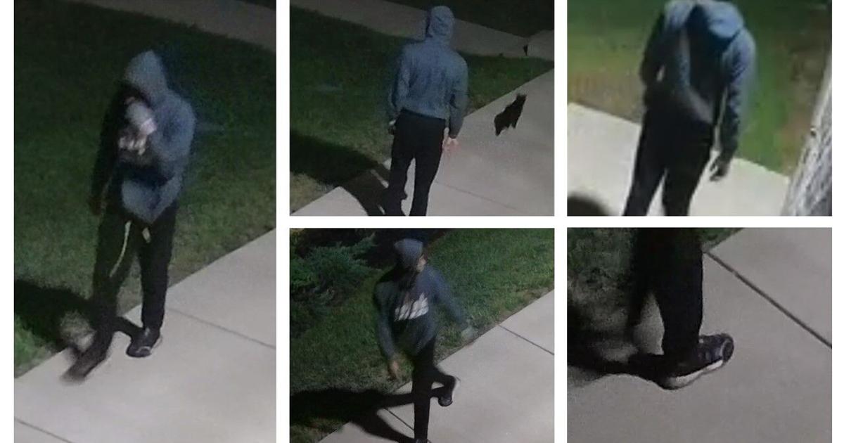 IMAGES | Louisville police release surveillance footage of suspect in ...