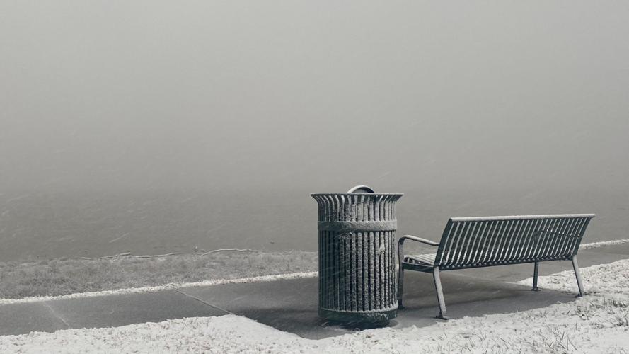 Louisville snow-Ashland Park-1-27-21.jpg