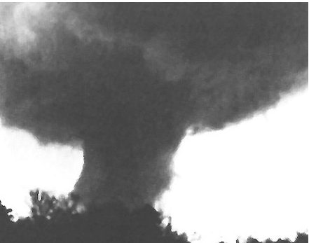 Screen Shot 2020-04-03 at 4.24.40 PM.png