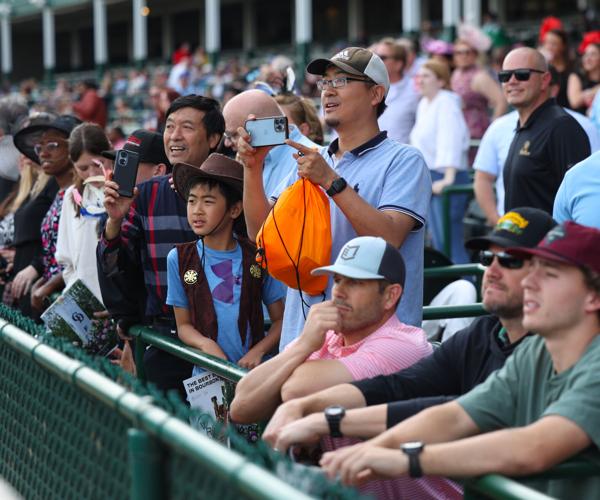 Crowd videos the horses.JPG
