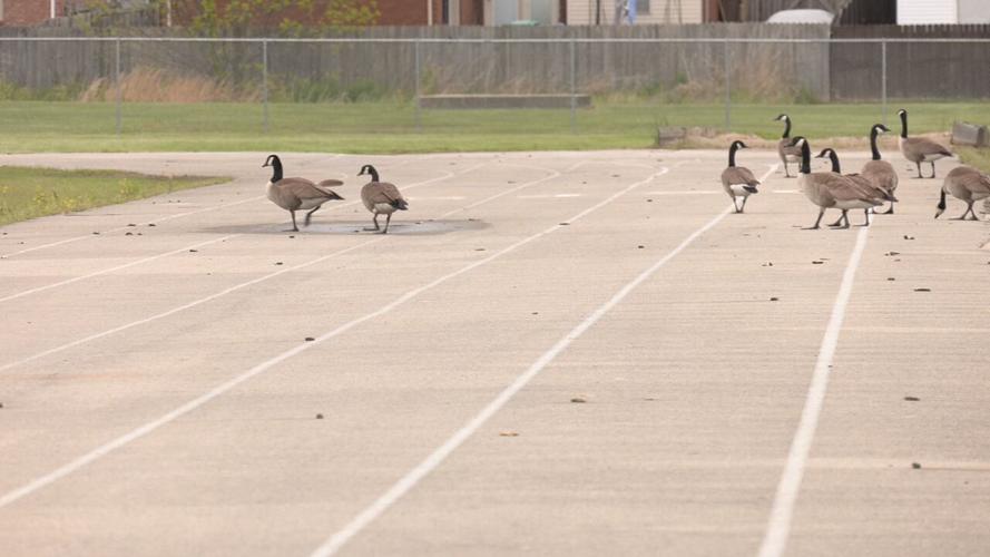 JCPS athletic facilities getting upgraded