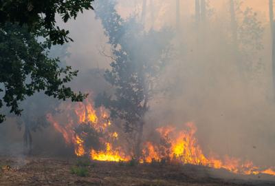 France Wildfires