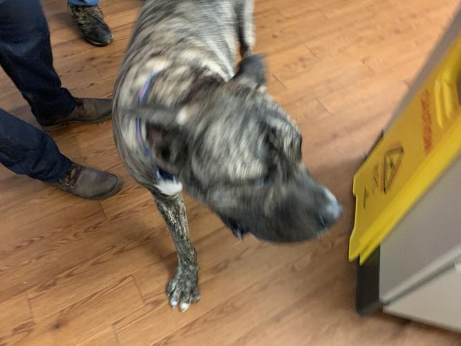 Ethan Becomes Compassion Ambassador (9).jpg