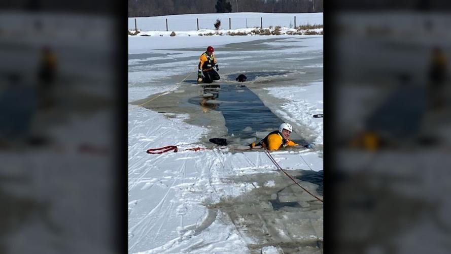 Jeff Fire Cow Rescue 2.png