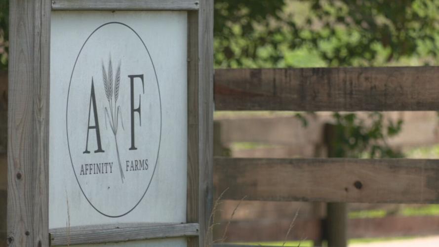 KENTUCKY - RYE - BOURBON - AFFINITY FARM  7-11-2023 (2).jpeg