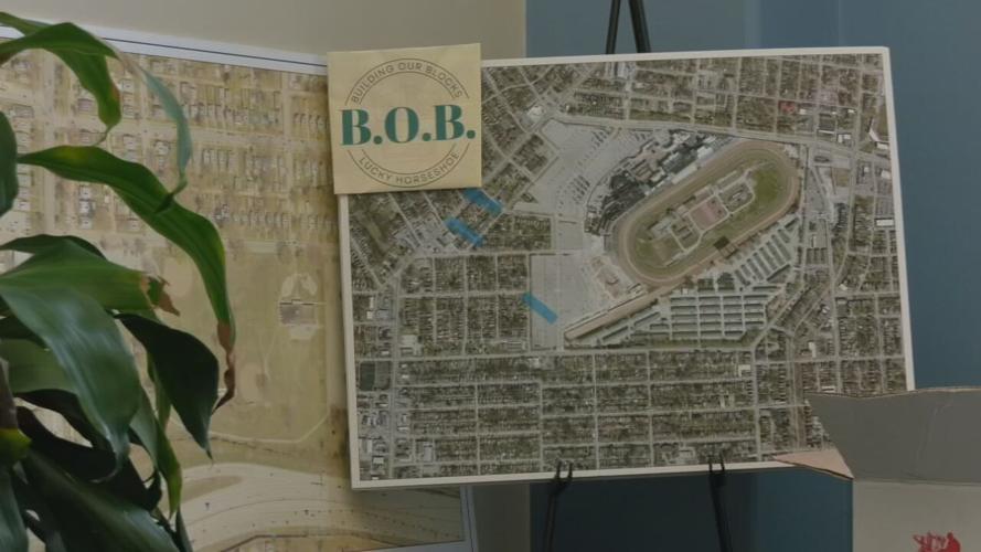 Lucky Horseshoe neighborhood Building Our Blocks