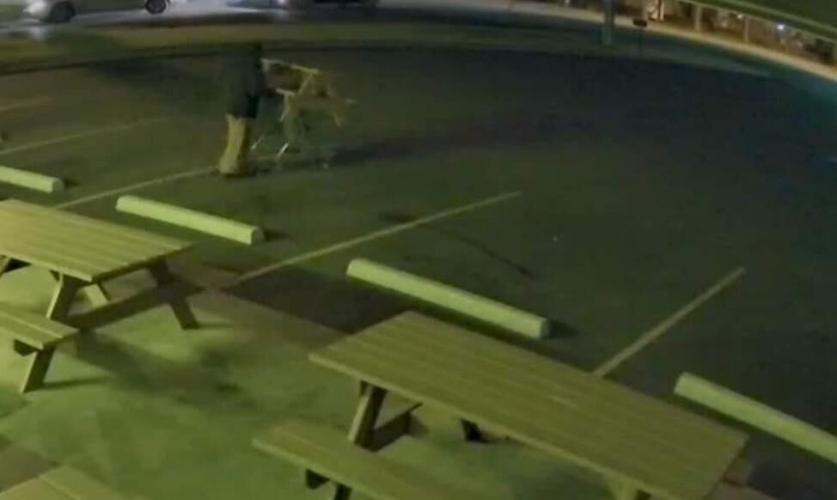 Valley Dairy Freeze security camera image