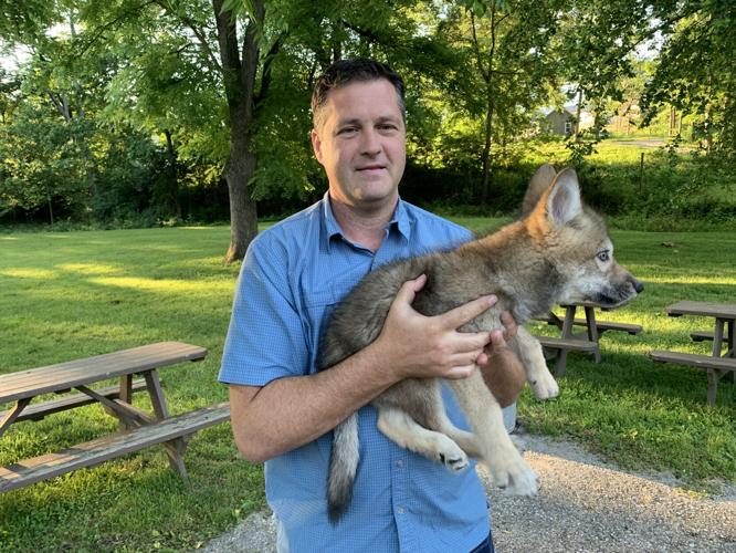 Wilstem Wildlife Park (47).JPG