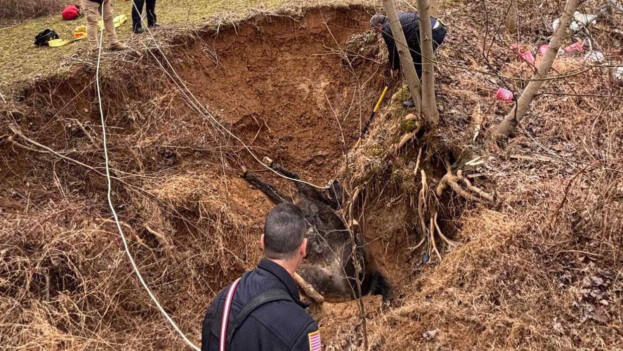 Pete the horse in a sinkhole - 2.19.26