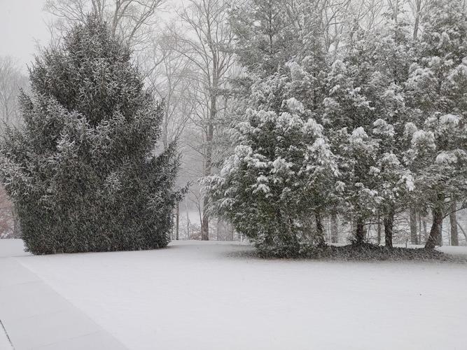 Snow in Georgetown-IN-1-27-21.jpg