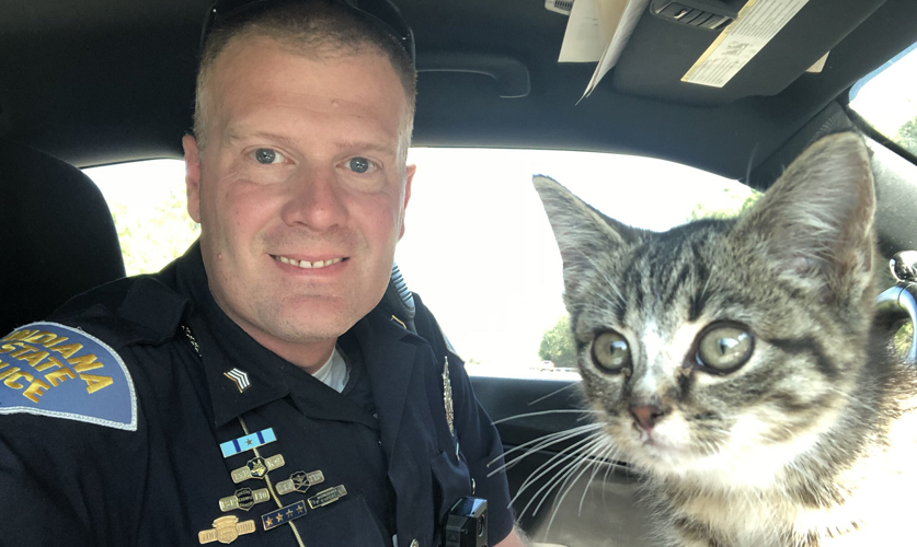 Abandoned kitten with trooper
