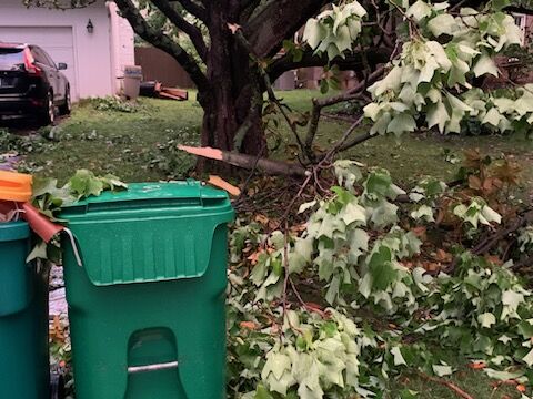 STORM - CROSSGATE - 6-25-2023 (3).jpg