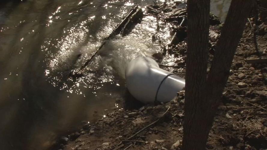 HUNTERS HOLLOW 6 MONTHS LATER.jpeg