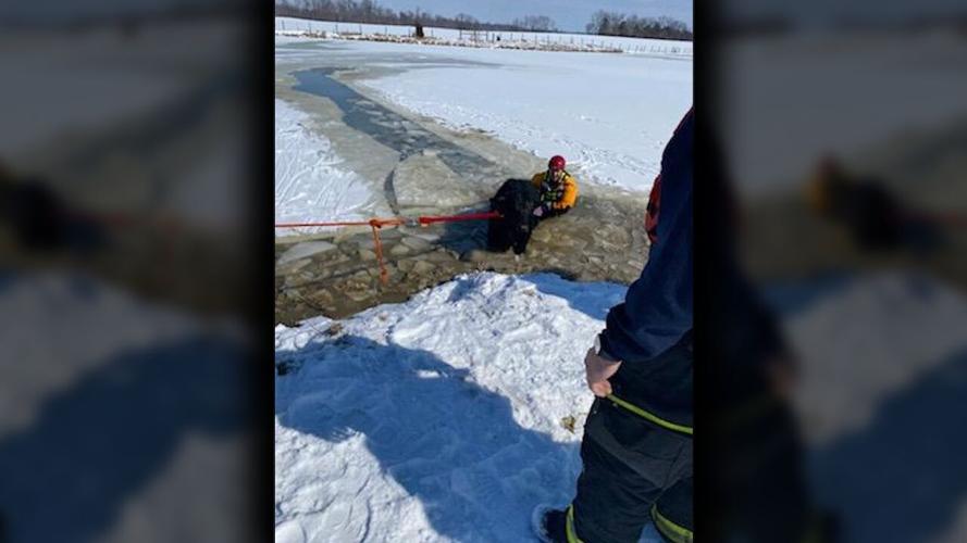 Jeff Fire Cow Rescue 3.png