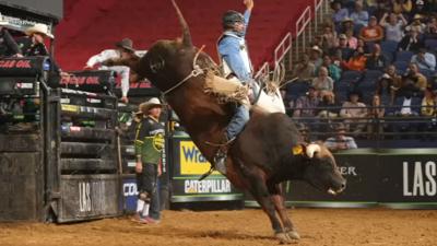Professional Bull Riding (PBR)