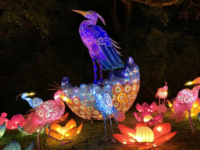 ASIAN LANTERN FESTIVAL - LOUISVILLE ZOO - KEITH KAISER - 7-15-2020  (7).JPG