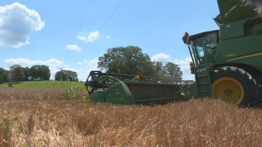 KENTUCKY - RYE - BOURBON - AFFINITY FARM  7-11-2023 (5).jpeg